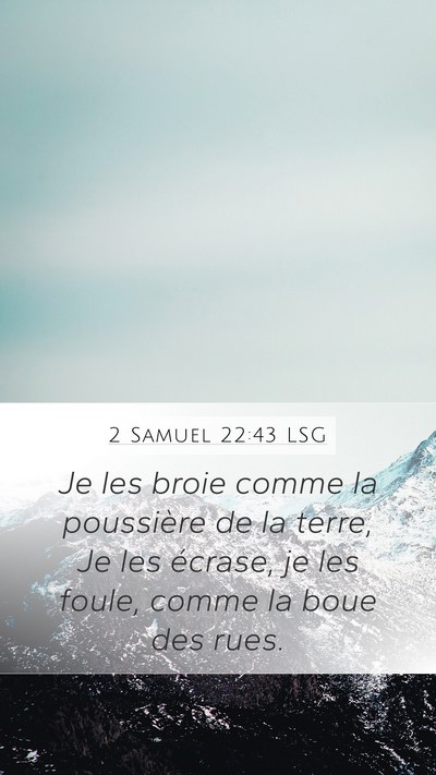 2 Samuel 22:43 LSG Bible Verse Image