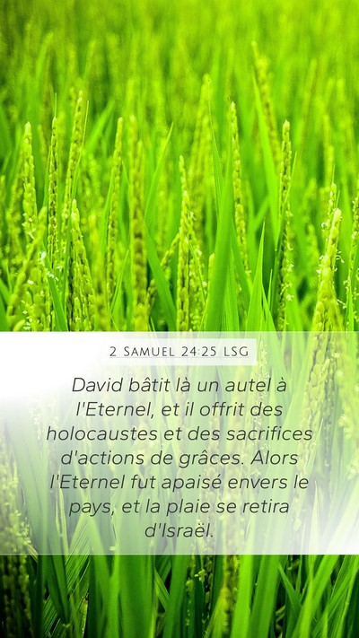 2 Samuel 24:25 LSG Bible Verse Image