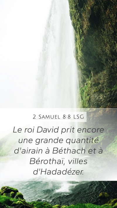 2 Samuel 8:8 LSG Bible Verse Image