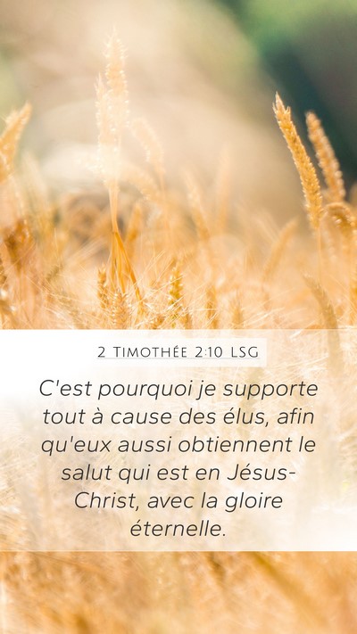 2 Timothée 2:10 LSG Bible Verse Image
