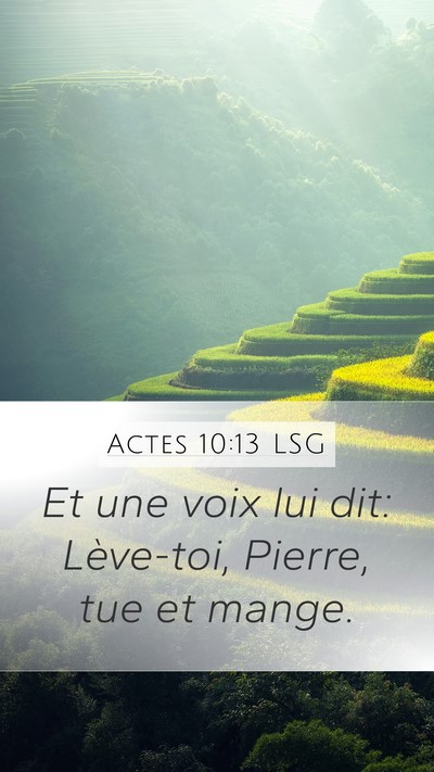 Actes 10:13 LSG Mobile Phone Wallpaper - Et une voix lui dit: Lève-toi, Pierre, tue et - Mobile Bible Verse Wallpaper