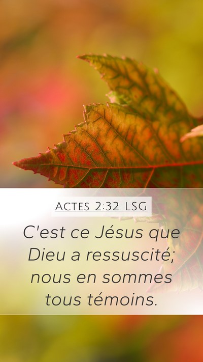 Actes 2:32 LSG Bible Verse Image