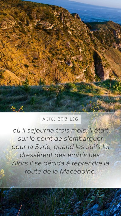 Actes 20:3 LSG Bible Verse Image