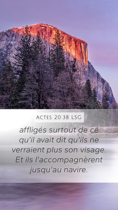 Actes 20:38 LSG Bible Verse Image