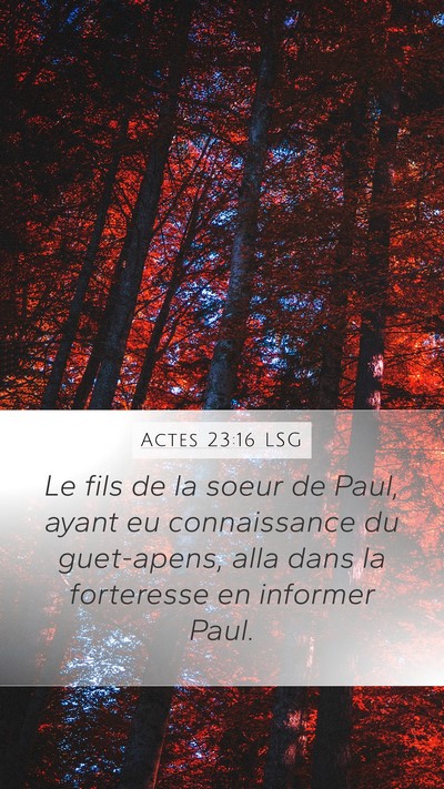 Actes 23:16 LSG Bible Verse Image