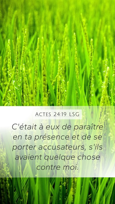 Actes 24:19 LSG Mobile Phone Wallpaper - C'était à eux de paraître en ta présence et - Mobile Bible Verse Wallpaper
