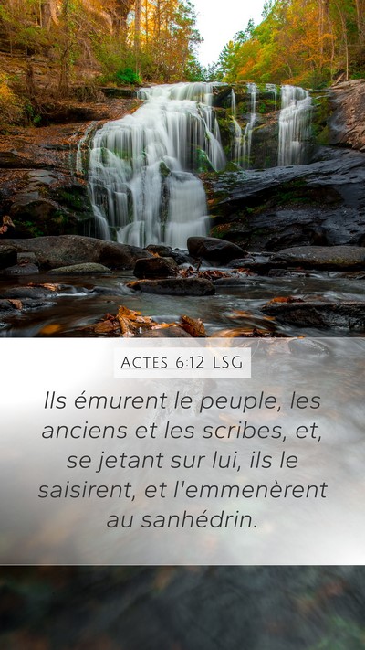 Actes 6:12 LSG Bible Verse Image