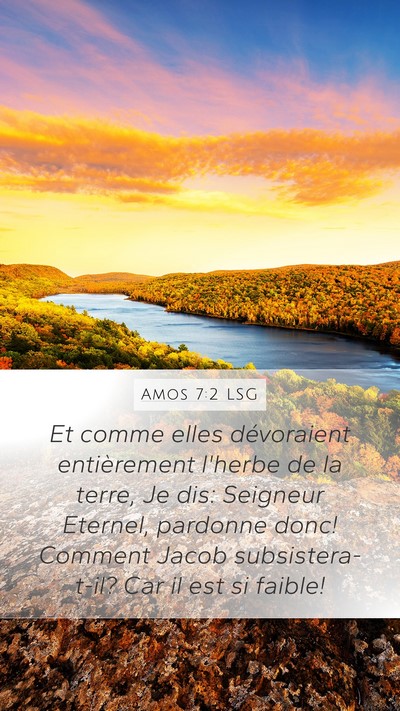 Amos 7:2 LSG Bible Verse Image