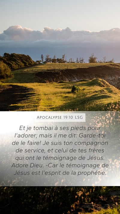 Apocalypse 19:10 LSG Bible Verse Image