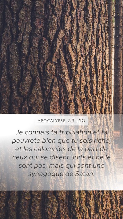 Apocalypse 2:9 LSG Bible Verse Image
