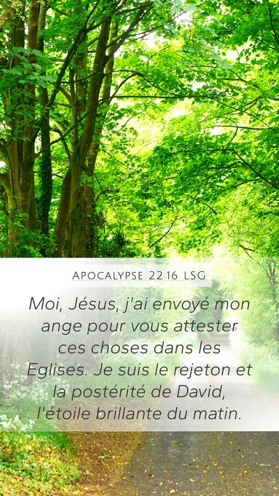 Apocalypse 22:16 LSG Bible Verse Image