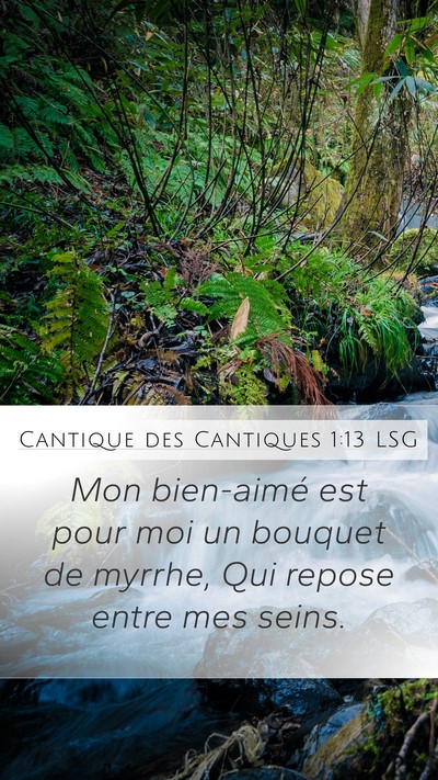 Cantique des Cantiques 1:13 LSG Bible Verse Image