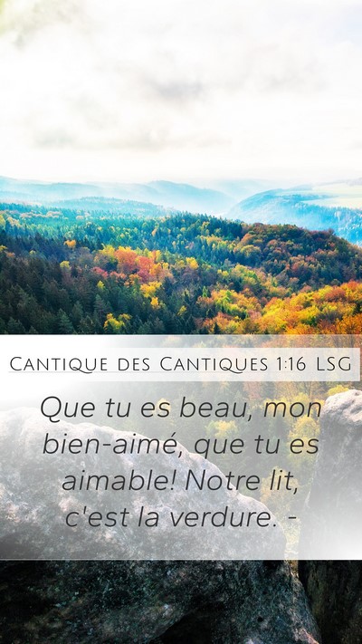 Cantique des Cantiques 1:16 LSG Bible Verse Image