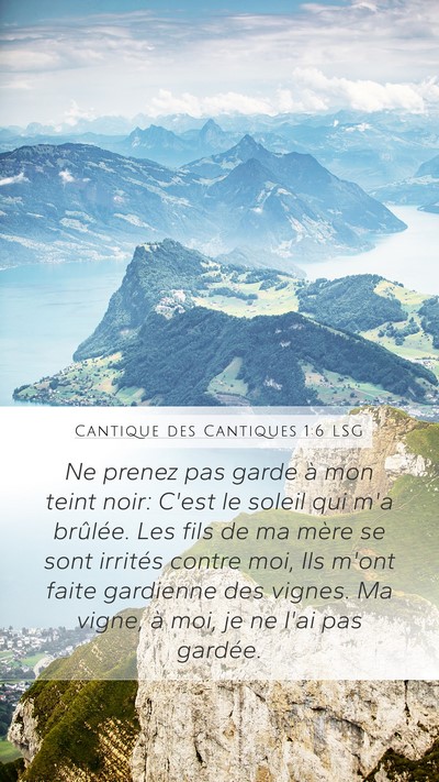 Cantique des Cantiques 1:6 LSG Bible Verse Image