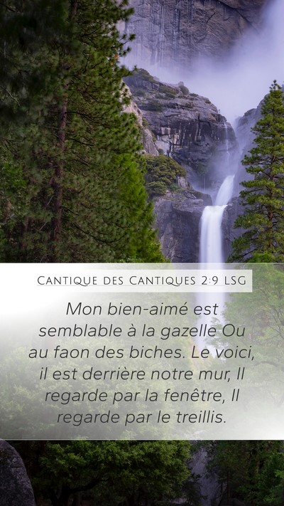 Cantique des Cantiques 2:9 LSG Bible Verse Image