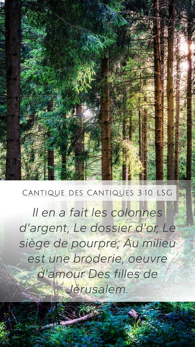 Cantique des Cantiques 3:10 LSG Bible Verse Image