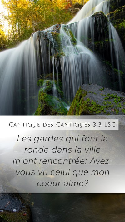 Cantique des Cantiques 3:3 LSG Mobile Phone Wallpaper - Les gardes qui font la ronde dans la ville m'ont - Mobile Bible Verse Wallpaper