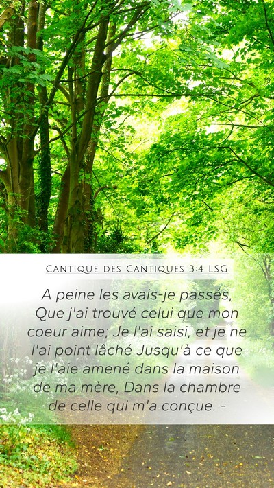 Cantique des Cantiques 3:4 LSG Bible Verse Image