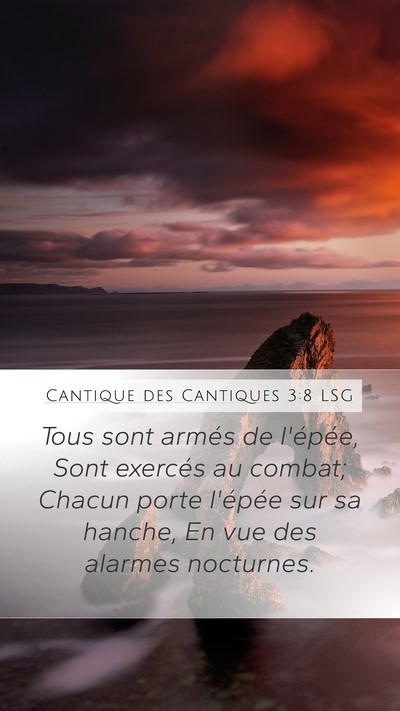 Cantique des Cantiques 3:8 LSG Mobile Phone Wallpaper - Tous sont armés de l'épée, Sont exercés au - Mobile Bible Verse Wallpaper
