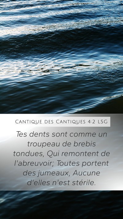Cantique des Cantiques 4:2 LSG Mobile Phone Wallpaper - Tes dents sont comme un troupeau de brebis - Mobile Bible Verse Wallpaper
