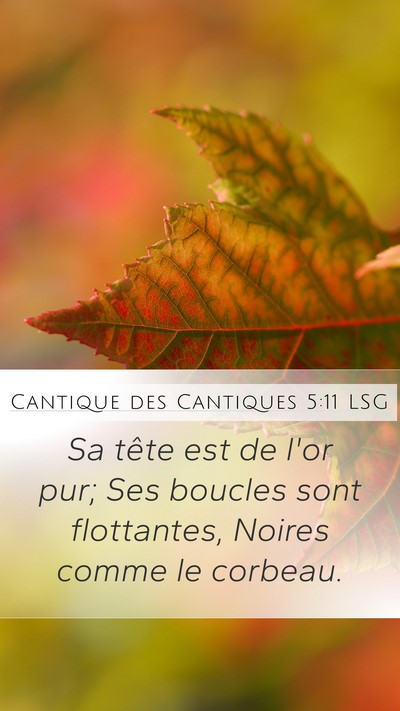 Cantique des Cantiques 5:11 LSG Mobile Phone Wallpaper - Sa tête est de l'or pur; Ses boucles sont - Mobile Bible Verse Wallpaper