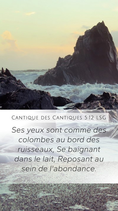 Cantique des Cantiques 5:12 LSG Bible Verse Image
