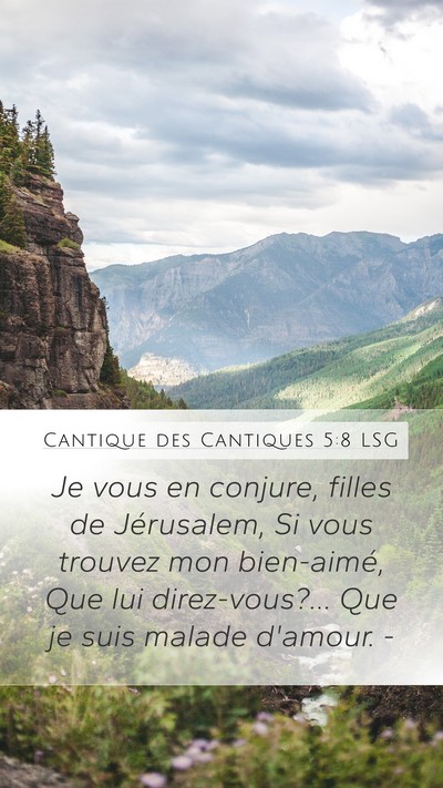 Cantique des Cantiques 5:8 LSG Mobile Phone Wallpaper - Je vous en conjure, filles de Jérusalem, Si vous - Mobile Bible Verse Wallpaper