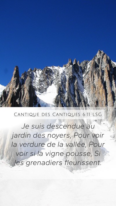 Cantique des Cantiques 6:11 LSG Bible Verse Image