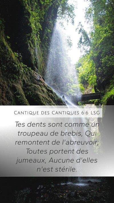 Cantique des Cantiques 6:6 LSG Bible Verse Image