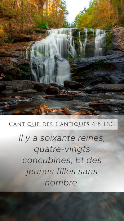 Cantique des Cantiques 6:8 LSG Bible Verse Image
