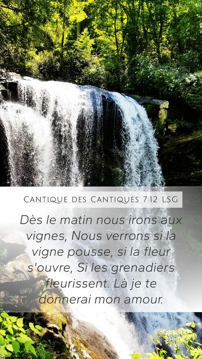 Cantique des Cantiques 7:12 LSG Bible Verse Image