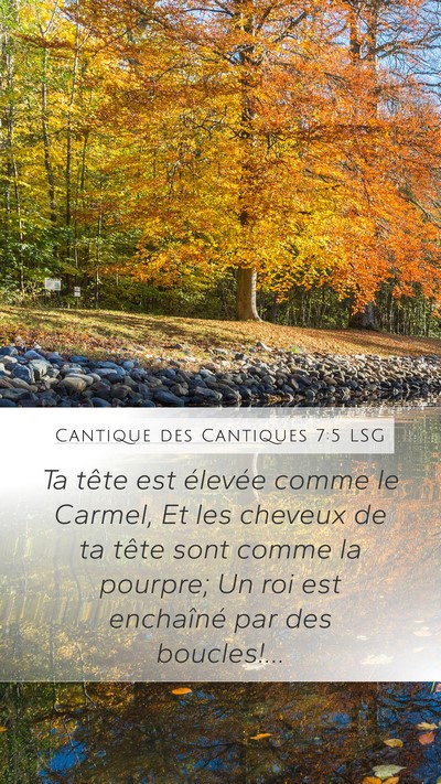 Cantique des Cantiques 7:5 LSG Bible Verse Image