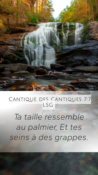 Cantique des Cantiques 7:7 LSG Bible Verse Image