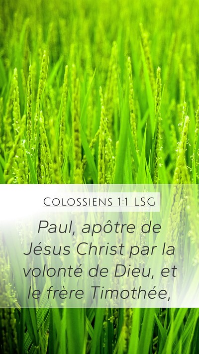Colossiens 1:1 LSG Bible Verse Image