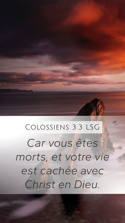 Colossiens 3:3 LSG Bible Verse Image