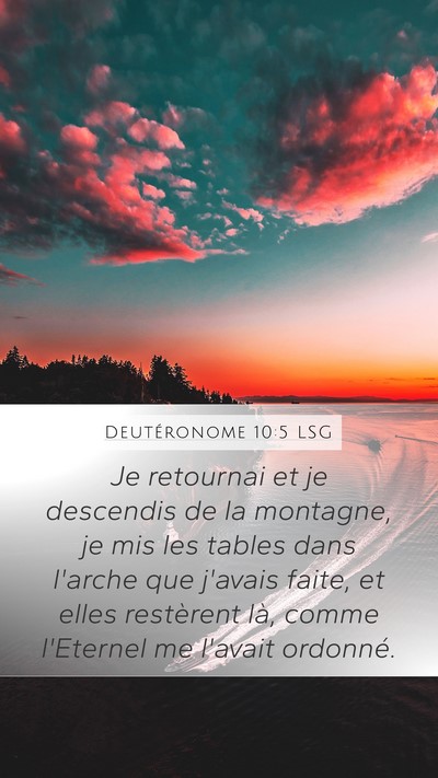 Deutéronome 10:5 LSG Bible Verse Image