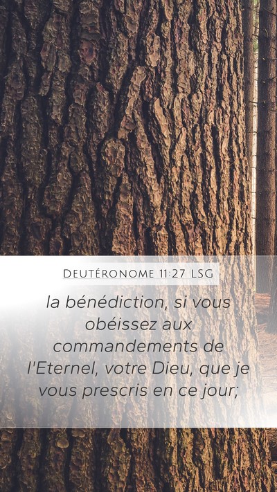 Deutéronome 11:27 LSG Mobile Phone Wallpaper - la bénédiction, si vous obéissez aux - Mobile Bible Verse Wallpaper