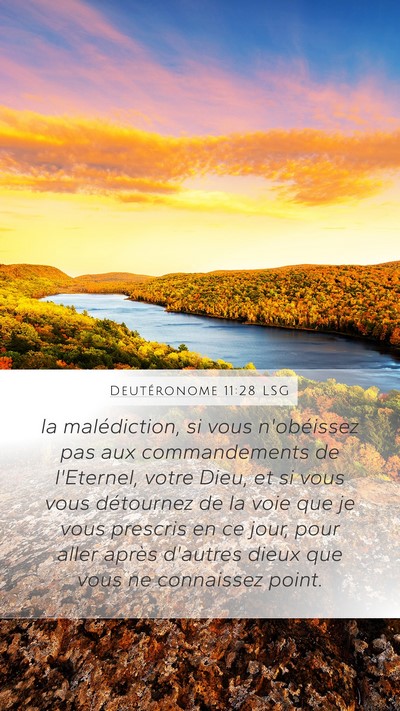 Deutéronome 11:28 LSG Bible Verse Image