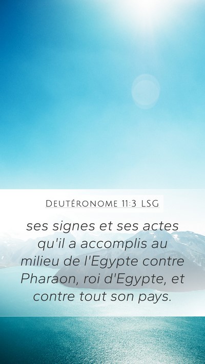 Deutéronome 11:3 LSG Mobile Phone Wallpaper - ses signes et ses actes qu'il a accomplis au - Mobile Bible Verse Wallpaper