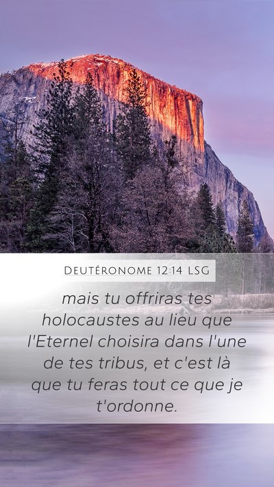 Deutéronome 12:14 LSG Mobile Phone Wallpaper - mais tu offriras tes holocaustes au lieu que - Mobile Bible Verse Wallpaper