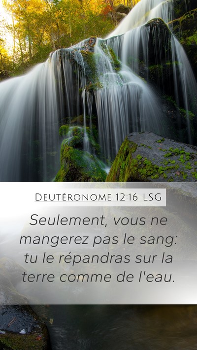 Deutéronome 12:16 LSG Bible Verse Image