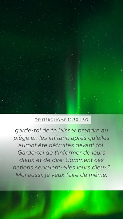 Deutéronome 12:30 LSG Bible Verse Image