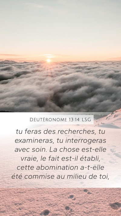 Deutéronome 13:14 LSG Bible Verse Image