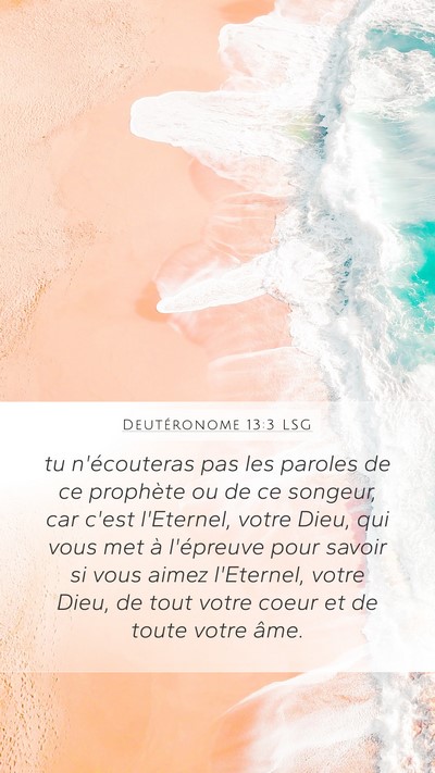 Deutéronome 13:3 LSG Bible Verse Image