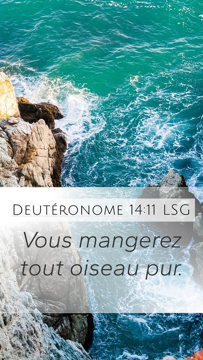 Deutéronome 14:11 LSG Mobile Phone Wallpaper - Vous mangerez tout oiseau - Mobile Bible Verse Wallpaper
