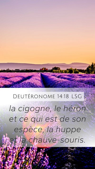 Deutéronome 14:18 LSG Mobile Phone Wallpaper - la cigogne, le héron et ce qui est de son - Mobile Bible Verse Wallpaper
