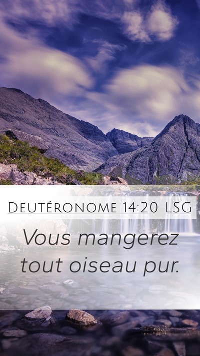 Deutéronome 14:20 LSG Mobile Phone Wallpaper - Vous mangerez tout oiseau - Mobile Bible Verse Wallpaper
