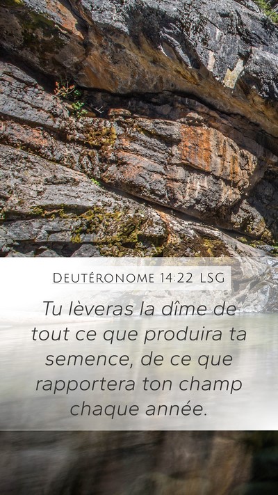 Deutéronome 14:22 LSG Bible Verse Image