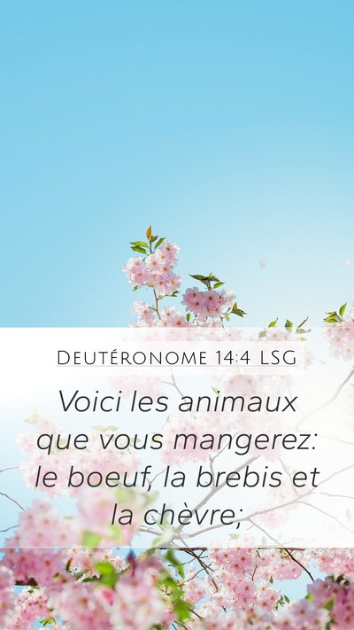 Deutéronome 14:4 LSG Mobile Phone Wallpaper - Voici les animaux que vous mangerez: le boeuf, la - Mobile Bible Verse Wallpaper