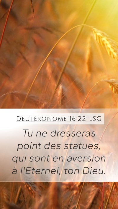 Deutéronome 16:22 LSG Bible Verse Image